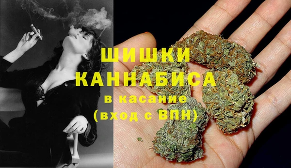 Альфа ПВП Аркадак